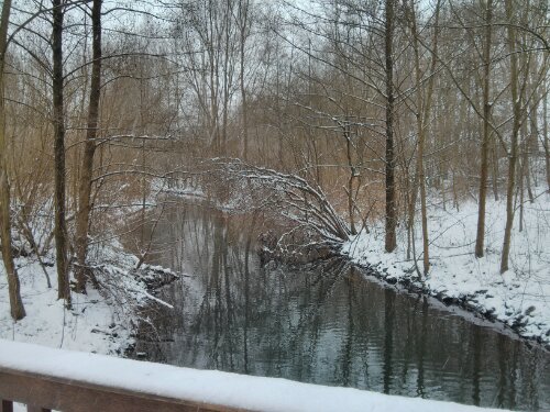 IMG_20130120_125811.jpg image