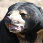 ggrrrrrr